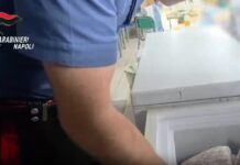 Insetti e vermi nel cibo per bambini in strutture socio-assistenziali di Caivano, una denuncia / Video